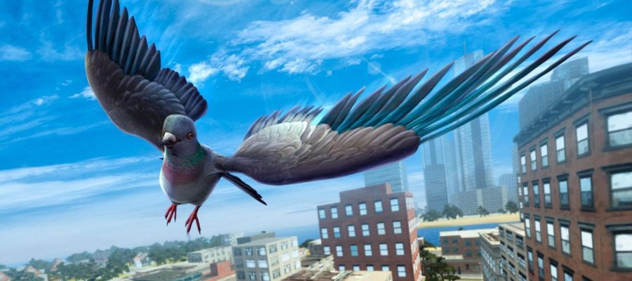 Pigeon Simulator